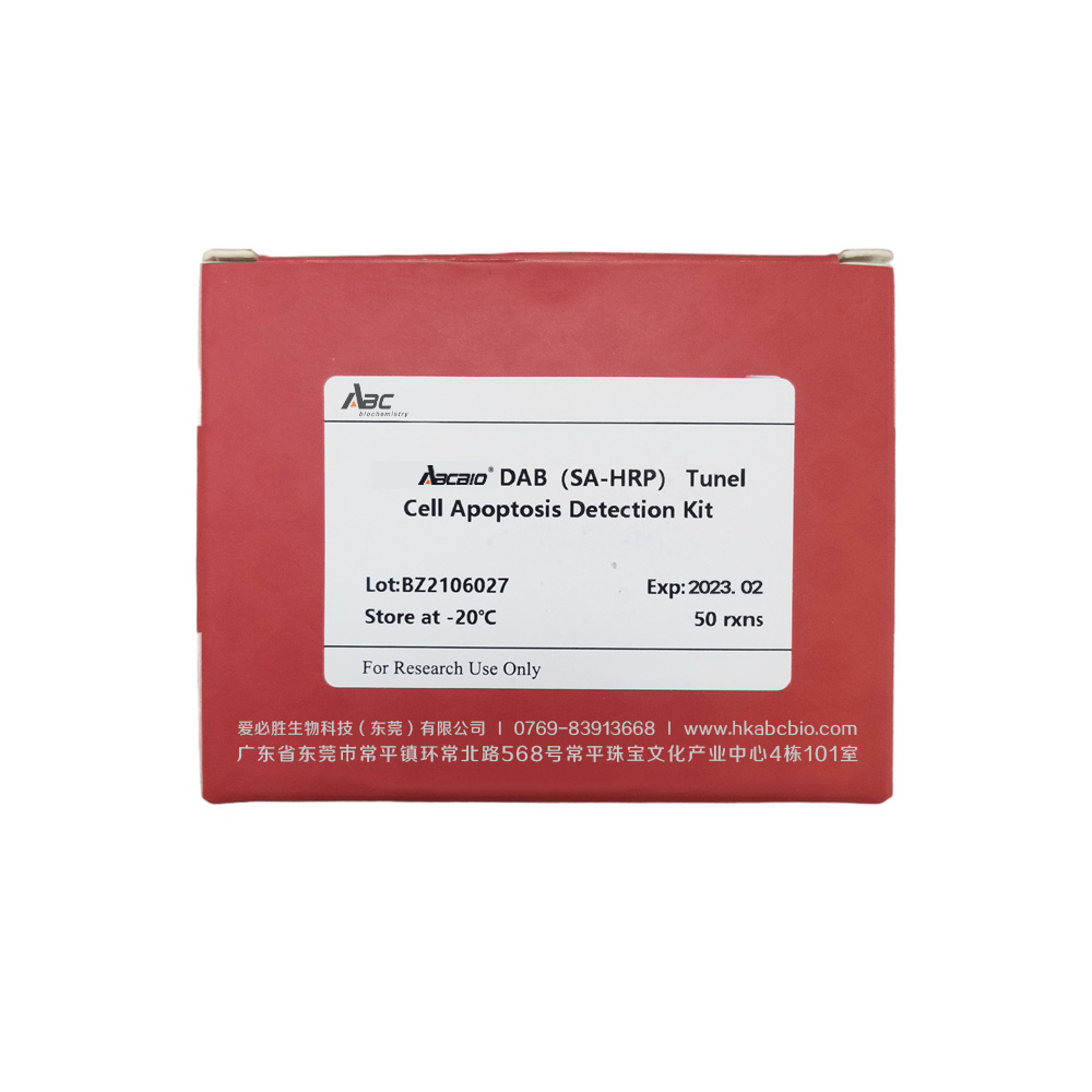 DAB (SA-HRP) Tunel Cell Apoptosis Detection Kit 50T （ABC1525）