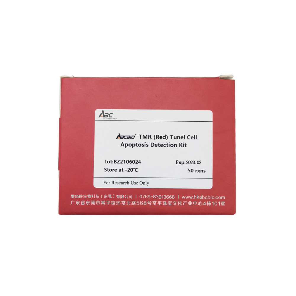 TMR (red) Tunel Cell Apoptosis Detection Kit 50T （ABC1520）