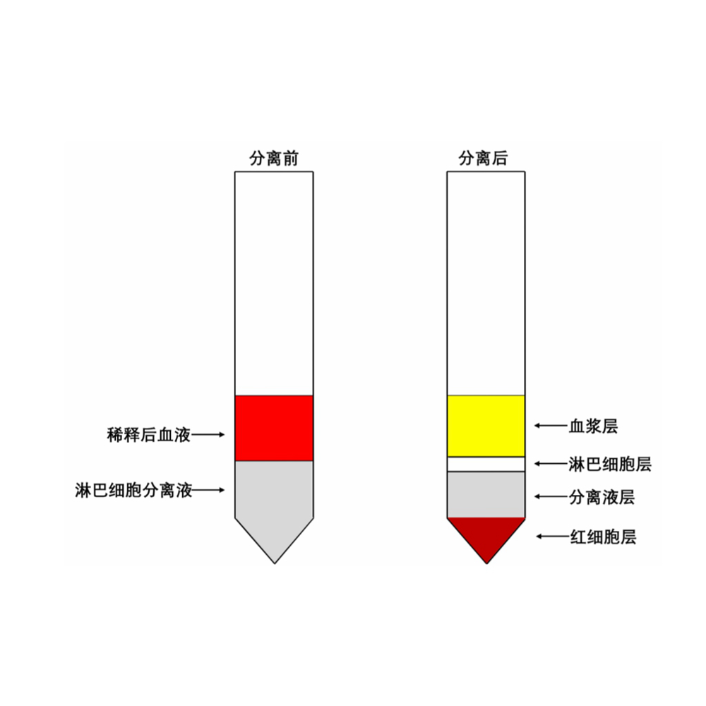 人外周血淋巴細(xì)胞分離液 ABC2115