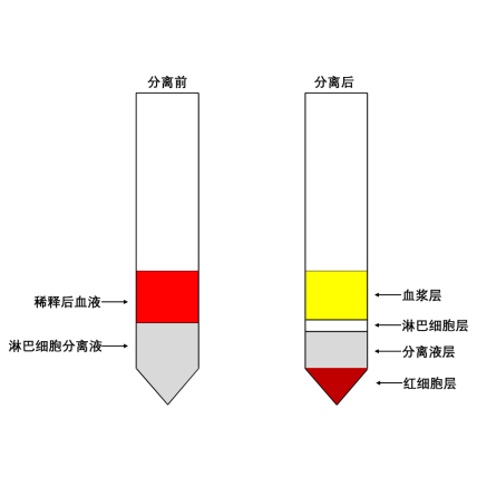 兔外周血淋巴細(xì)胞分離液 ABC2117