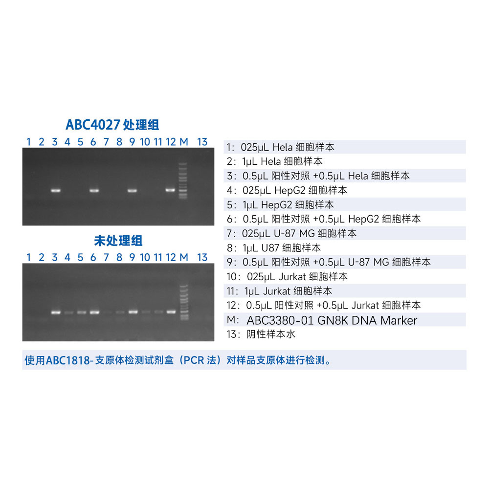 Mycoplasma Prevention Reagent（1000×）  ABC4027