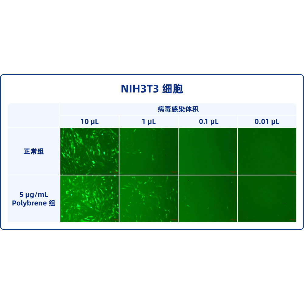 聚凝胺（10mg/ml） （ABC1821）