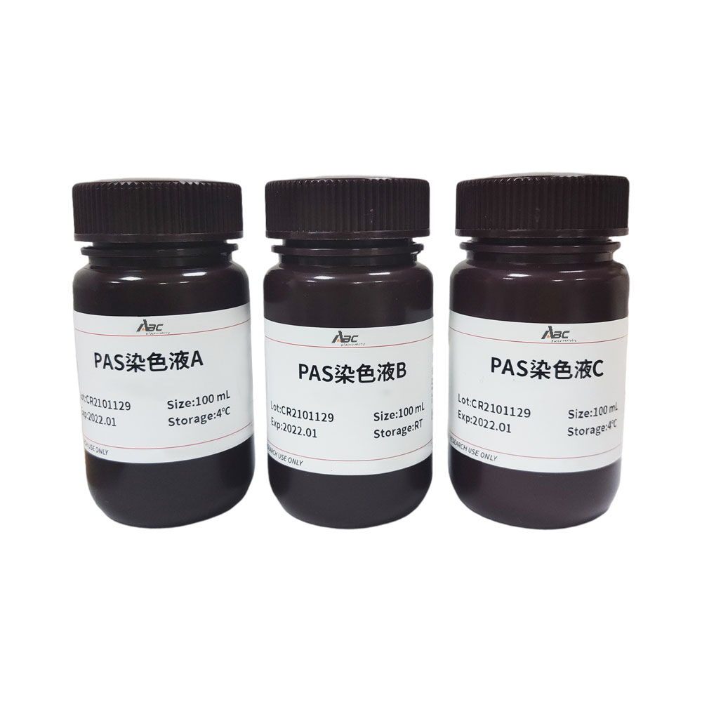 PAS染液 100ML （ABC1026）