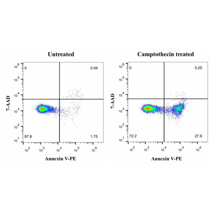 Annexin V-PE/7-AAD Cell Apoptosis Detection Kit 100T （ABC1530）