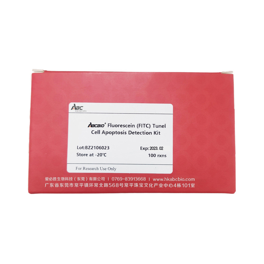 Fluorescein (FITC) Tunel Cell Apoptosis Detection Kit 100T （ABC1519）