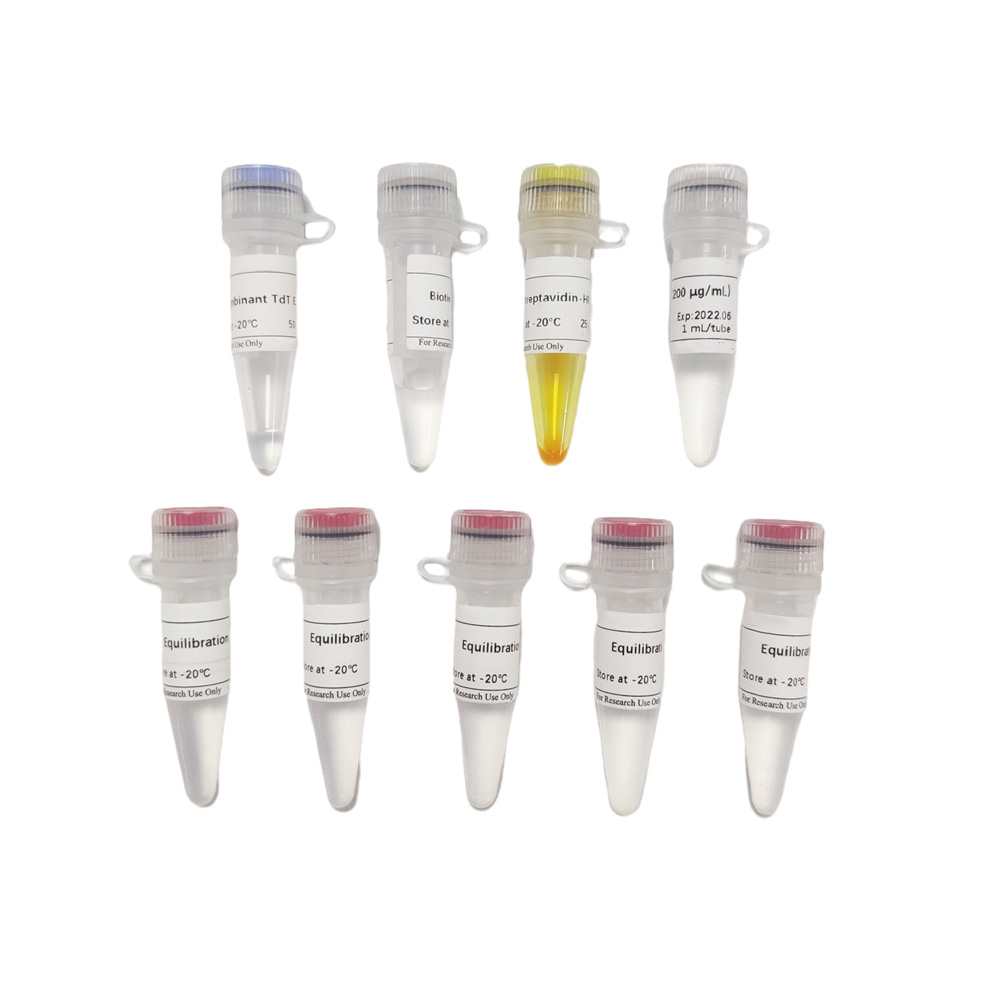 DAB (SA-HRP) Tunel Cell Apoptosis Detection Kit 50T （ABC1525）