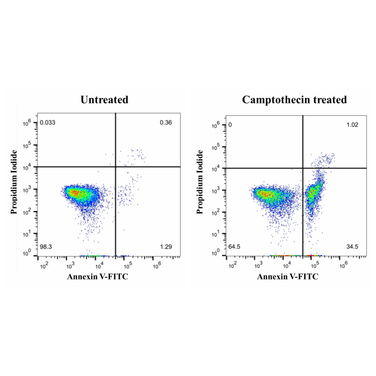 Annexin V-FITC/PI Cell Apoptosis Detection Kit 100T （ABC1529）