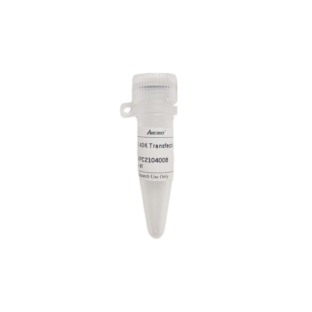 PEI 40K Transfection Reagent （ABC1820）