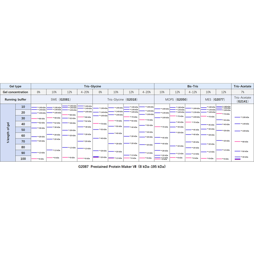 Prestained Protein Marker Ⅶ (8-195 kDa) ABC2105