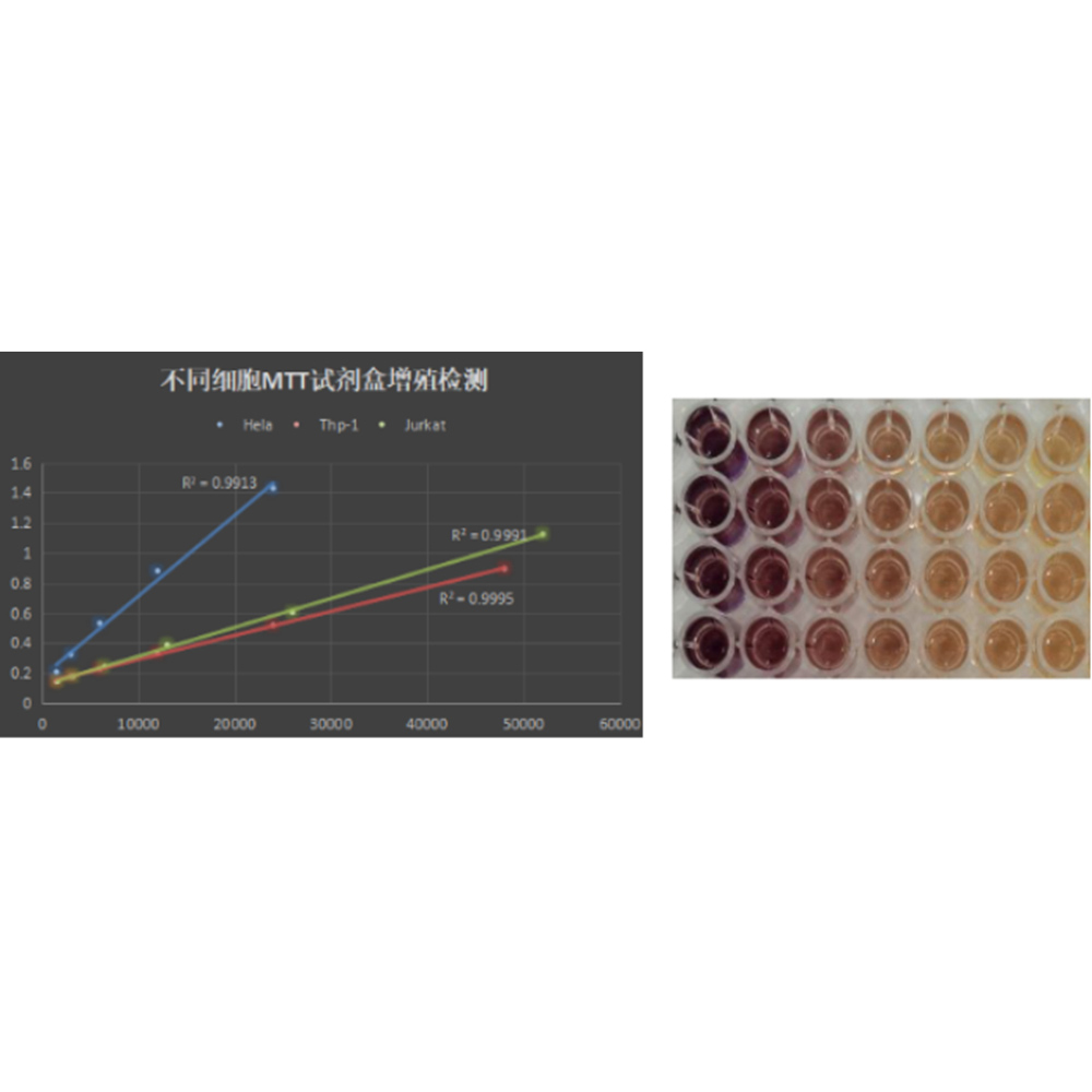 MTT細(xì)胞增殖與細(xì)胞毒性檢測試劑盒 （ABC4122）