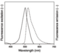 Green dead-cell nucleic acid stain（死細(xì)胞綠色熒光染料）ABC327