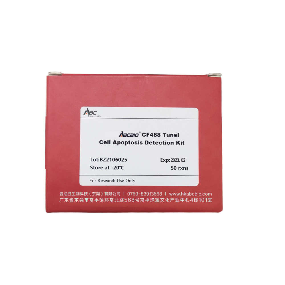 CF488 Tunel Cell Apoptosis Detection Kit 50T （ABC1522）