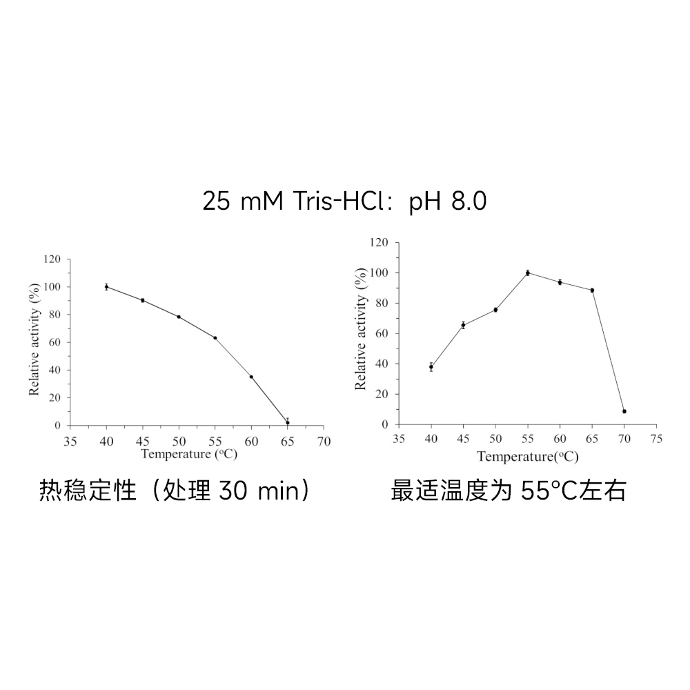 重組蛋白酶K(粉末)500MG （ABC1255）