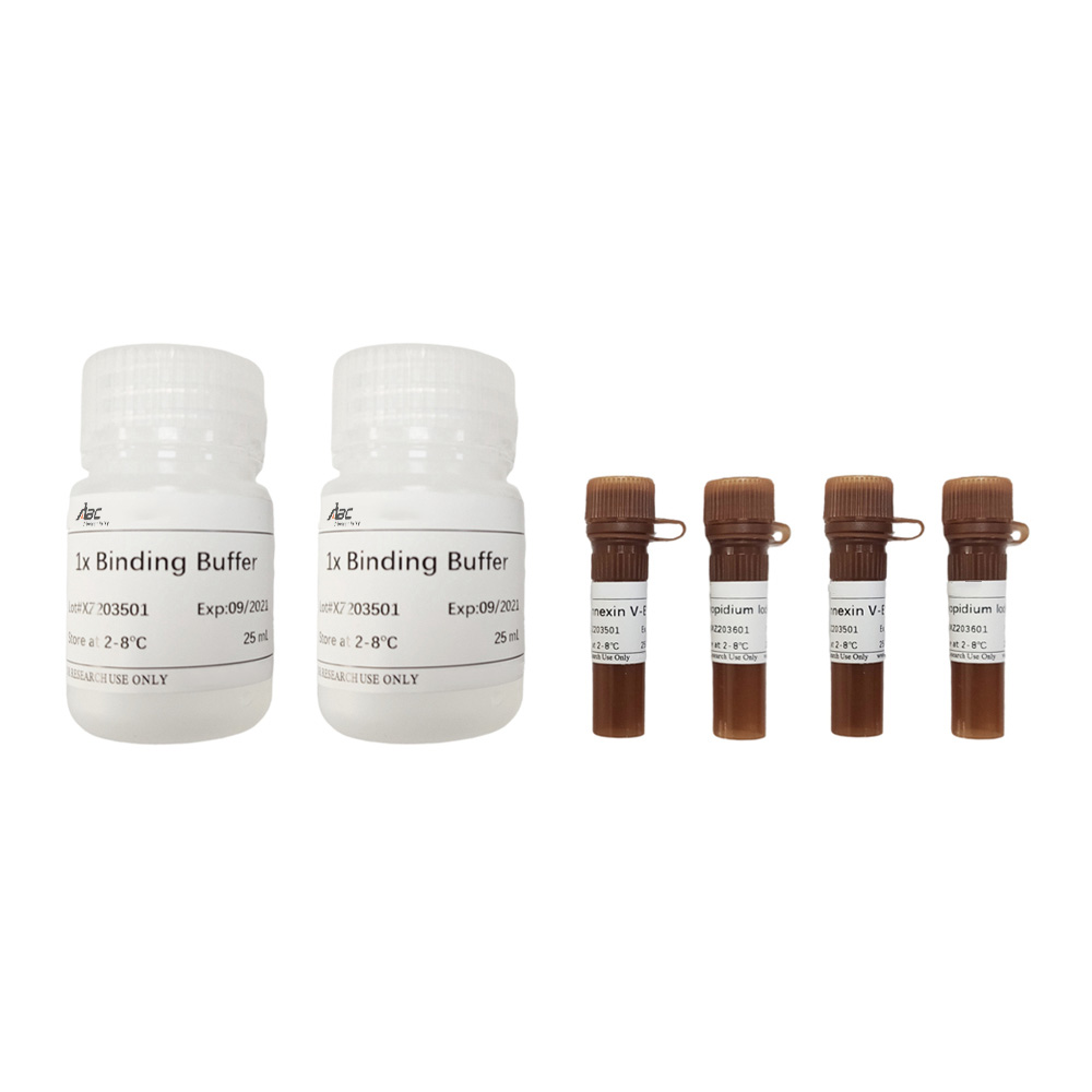 Annexin V-EGFP/PI Cell Apoptosis Detection Kit 100T （ABC1528）