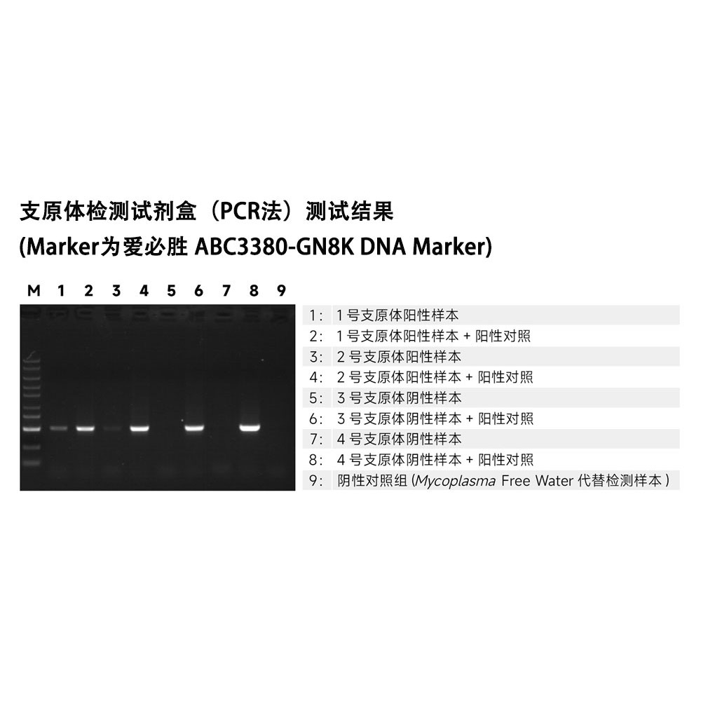 支原體檢測(cè)試劑盒（PCR法） ABC1918