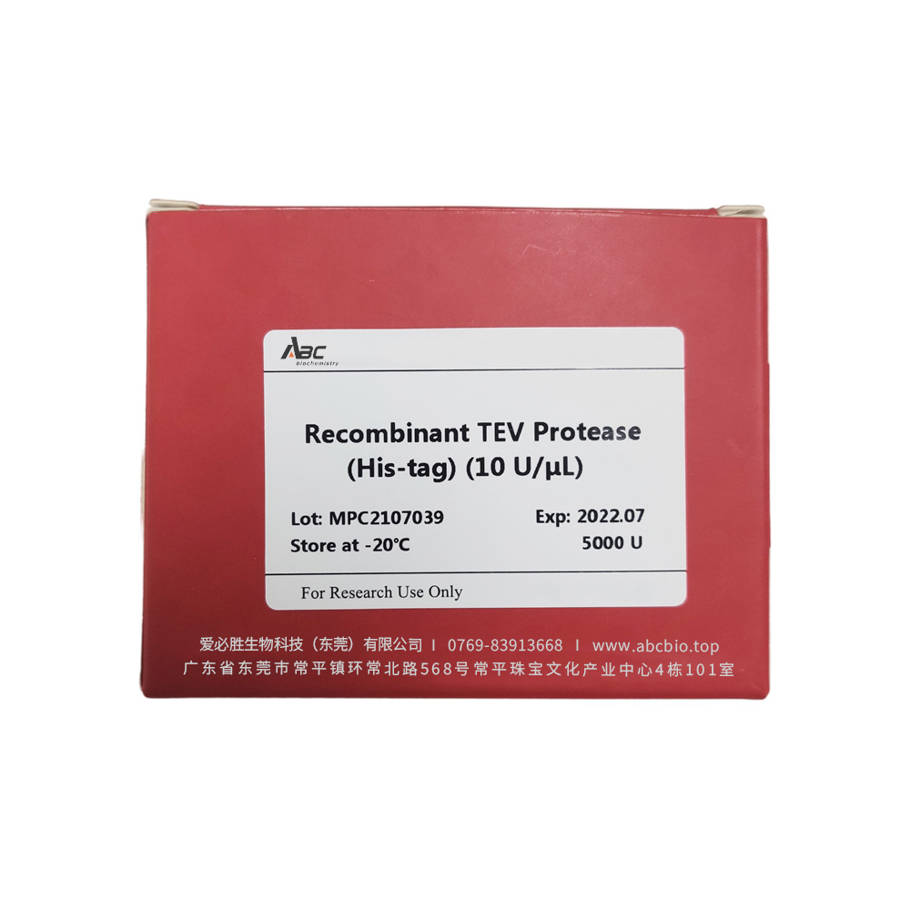 Recombinant TEV Protease (His-tag) （ABC3427）