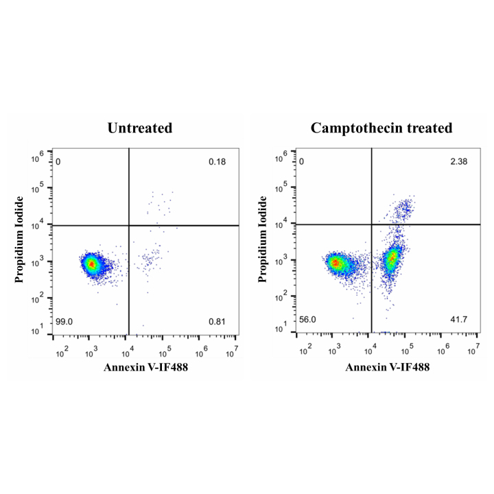 Annexin V-IF488/PI Cell Apoptosis Detection Kit 50T （ABC1531）