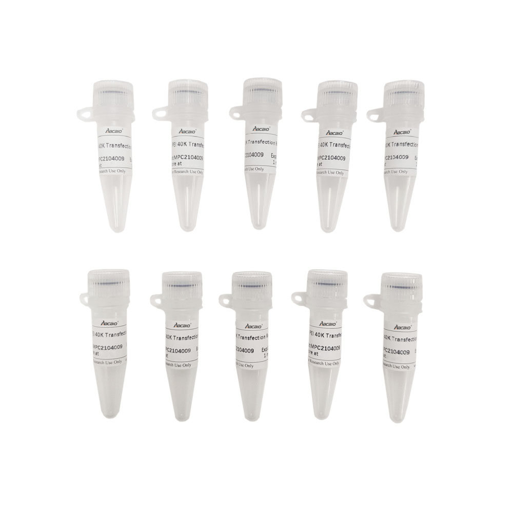 PEI 40K Transfection Reagent （ABC1820）