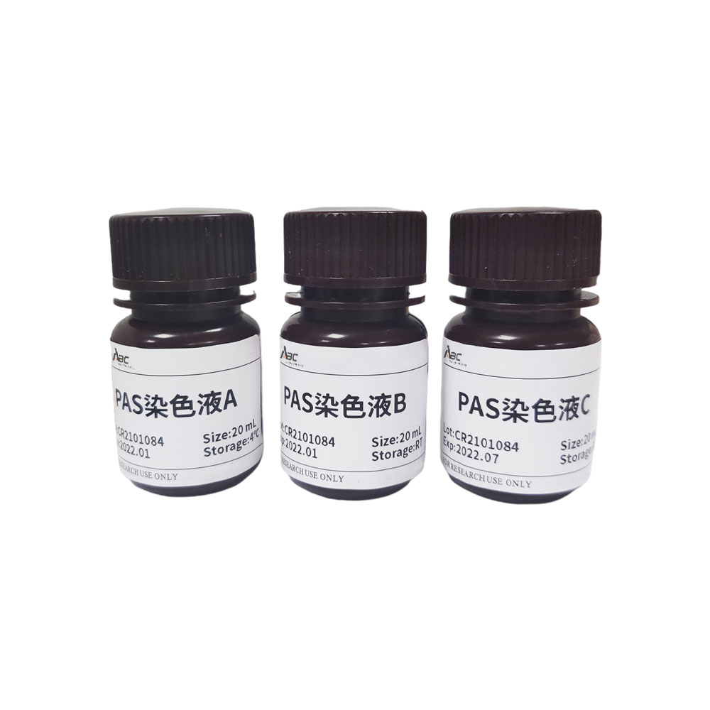 PAS染液 20ML*3 （ABC1026）