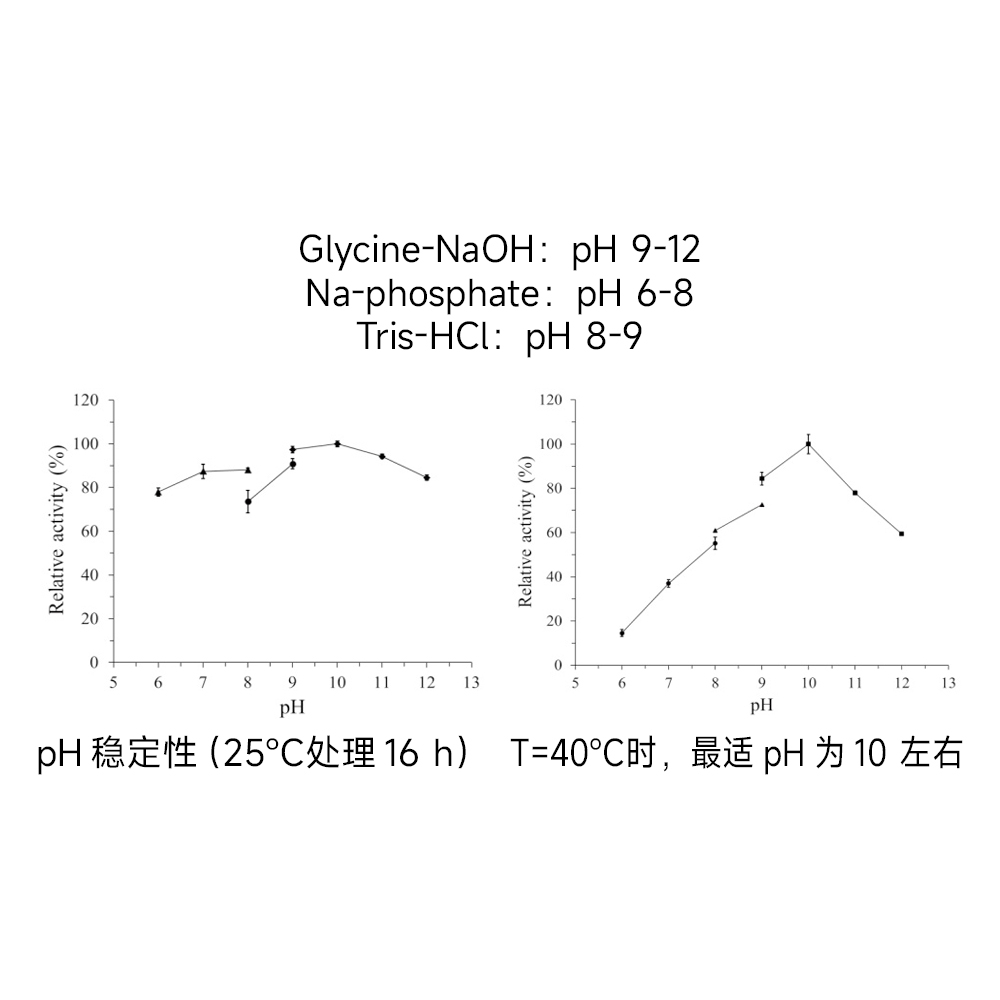 重組蛋白酶K500ML(20mg／ml) ABC1252