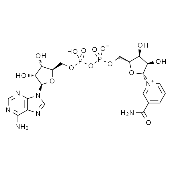 β-煙酰胺腺嘌呤二核苷酸 NAD (ABC303031)