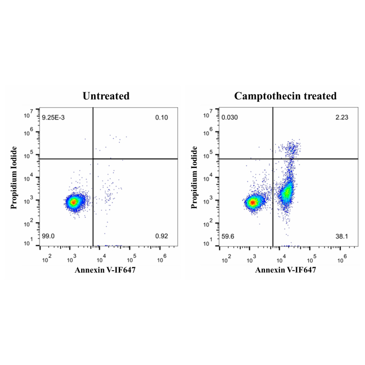 Annexin V-IF647/PI Cell Apoptosis Detection Kit 50T （ABC1532）