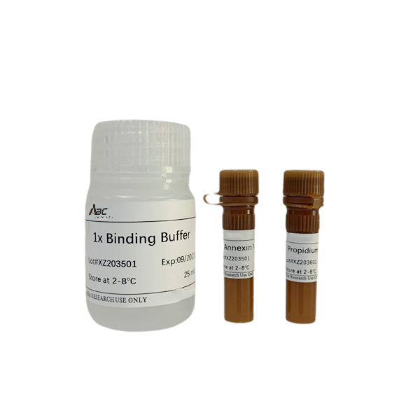 Annexin V-IF647/PI Cell Apoptosis Detection Kit 50T （ABC1532）