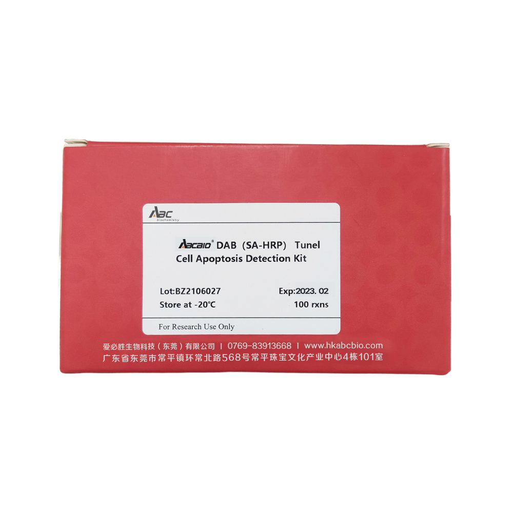 DAB (SA-HRP) Tunel Cell Apoptosis Detection Kit 100T （ABC1525）