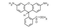 Dihydrorhodamine 123（線粒體，二氫羅丹明 123）ABC347