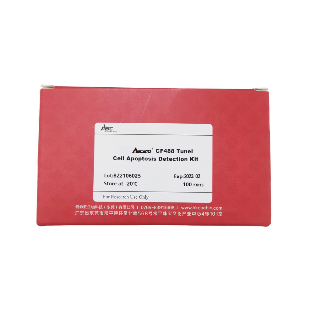 CF488 Tunel Cell Apoptosis Detection Kit 100T （ABC1522）