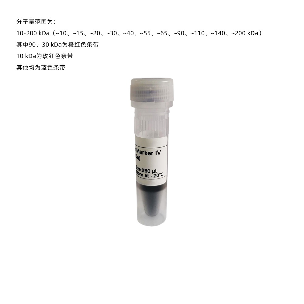 Prestained Protein Marker Ⅳ (8-200 kDa) ABC2101