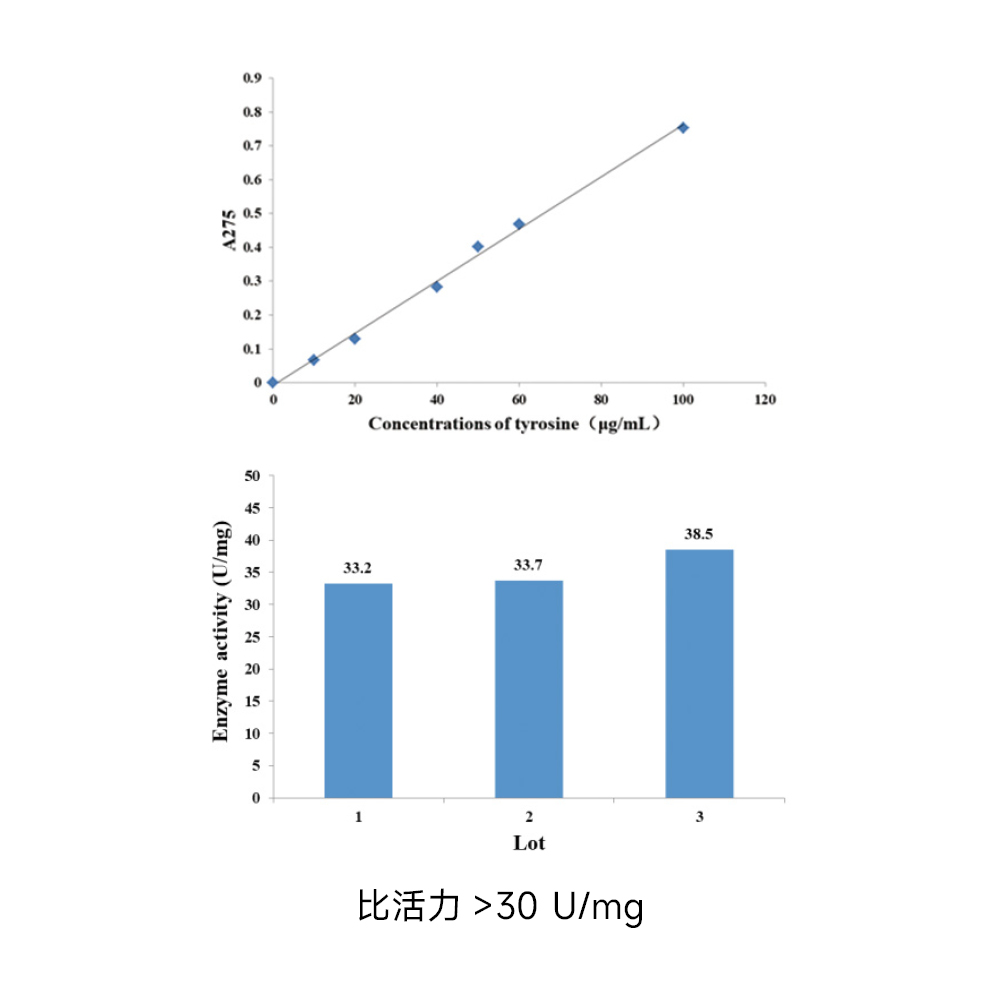 重組蛋白酶K(粉末)500MG （ABC1255）